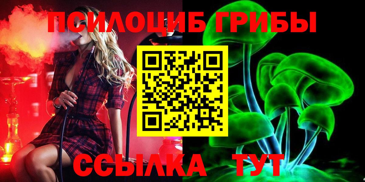 Волжский  Псилоцибиновые грибы MAGIC MUSHROOMS  Вход с VPN 