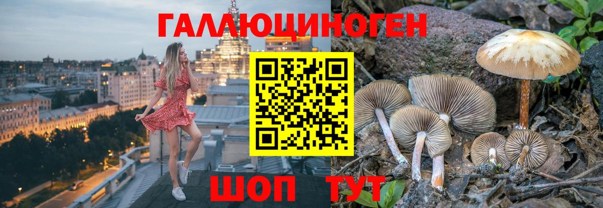 Галлюциногенные грибы MAGIC MUSHROOMS Волжский